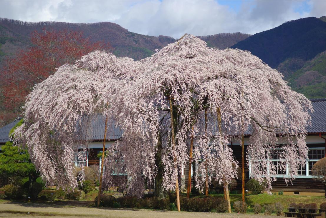 Ryokan Ootaya Iida Extérieur photo